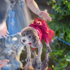 Meet your Posher, Milla